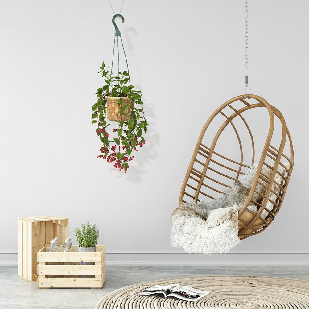 Spider Plant Hanging - 5 Parça Modern Minimalist Asılı Saksı