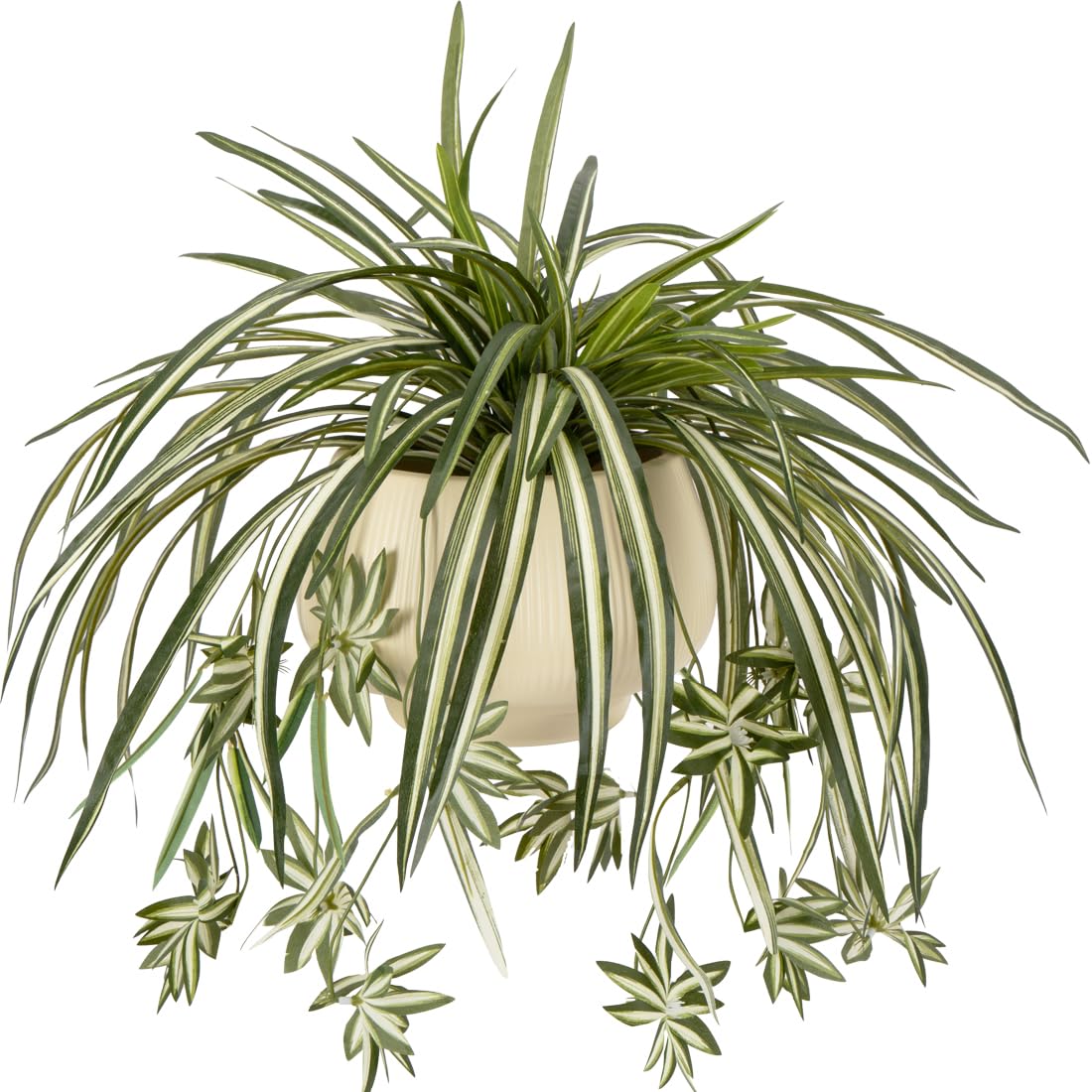 Spider Plant Hanging - 4 adet yapay asılı örümcek bitkiler