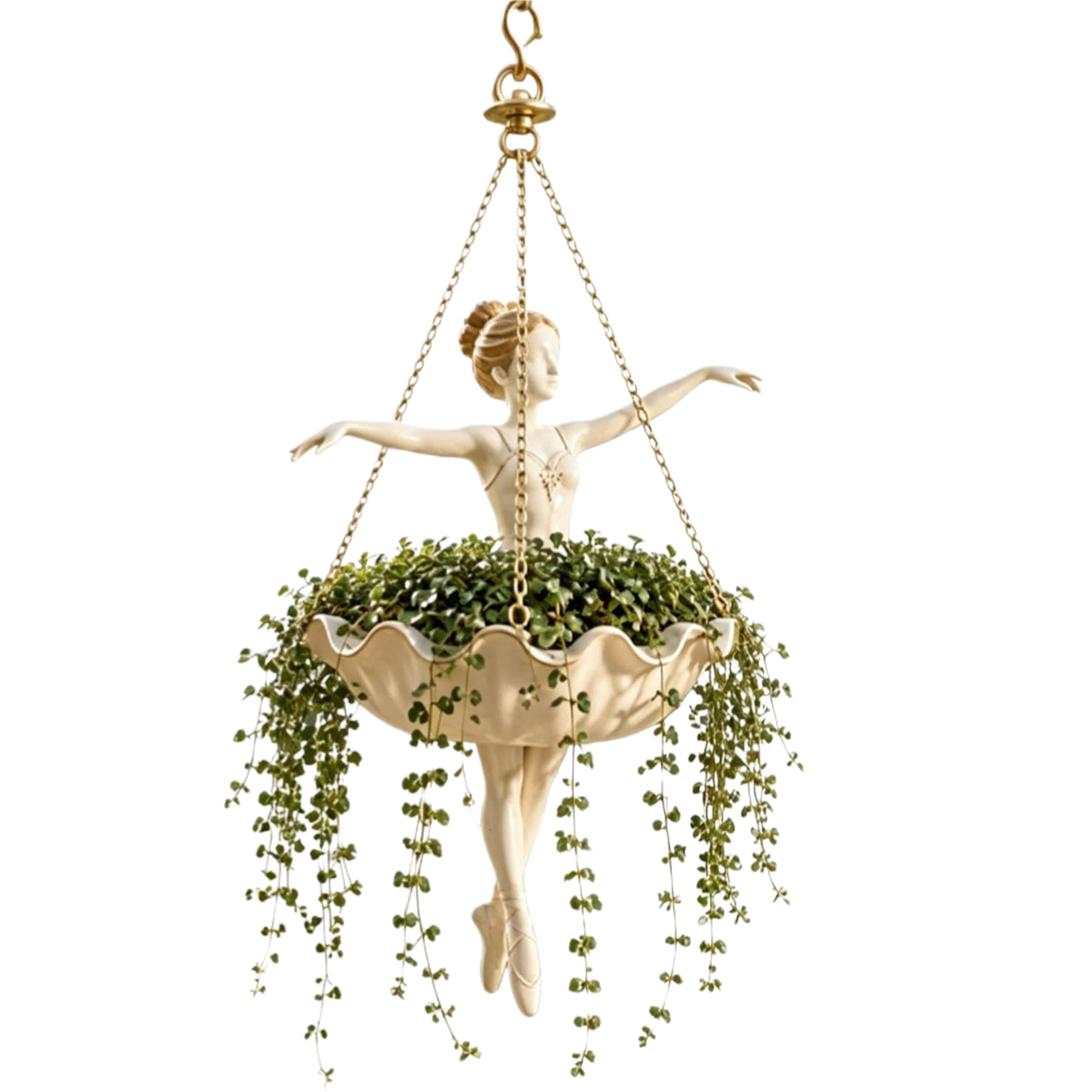 Spider Plant Hanging - Bale Dansçısı Asılı Saksı Kolay Kurulum