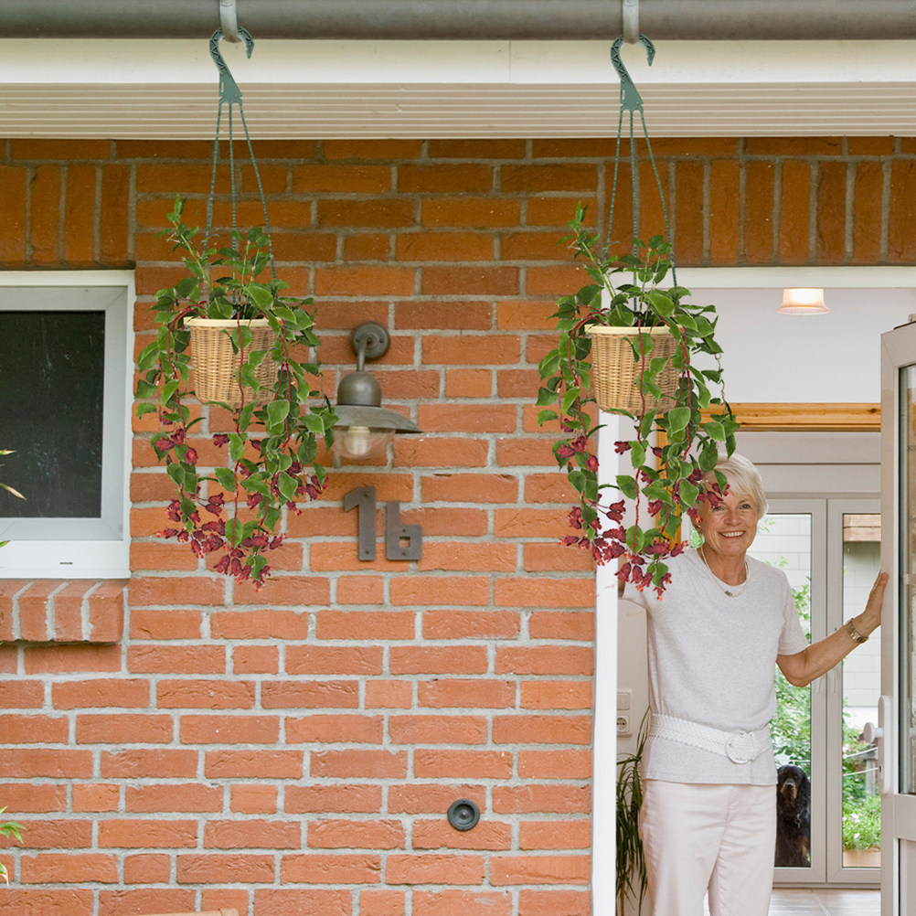 5 Parça Asılı Saksı Kancası Se - Spider Plant Hanging incelemesi ve fiyatı