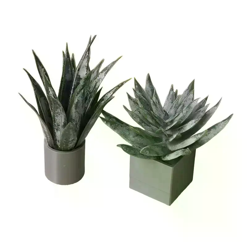 Minyatür Aloe Vera Saksı Bitki - Aloe Vera Pot incelemesi ve fiyatı
