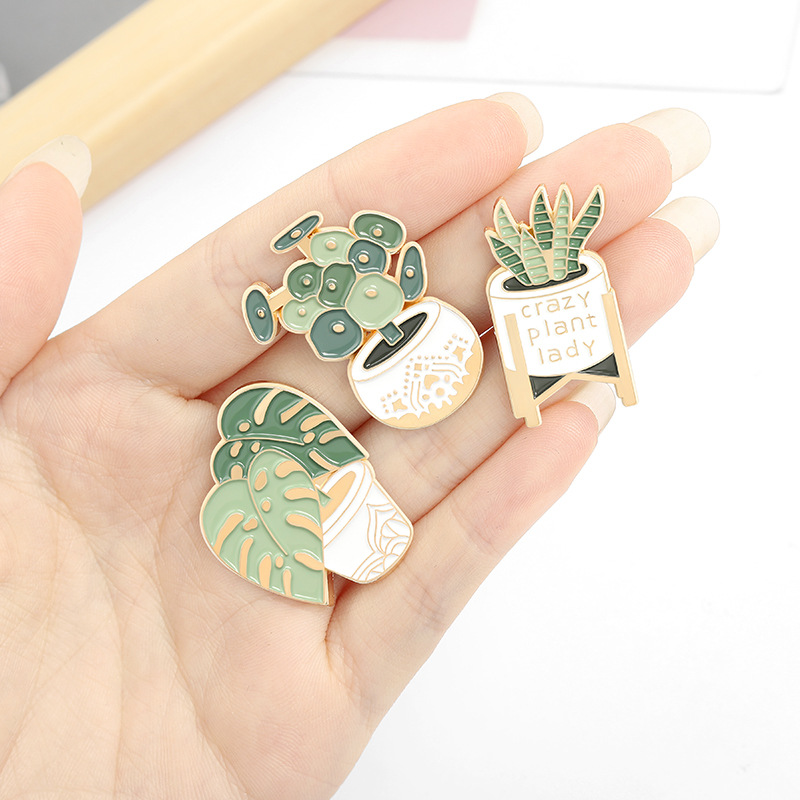 Saksı Bitki Broş Monstera Aloe - Aloe Vera Pot incelemesi ve fiyatı