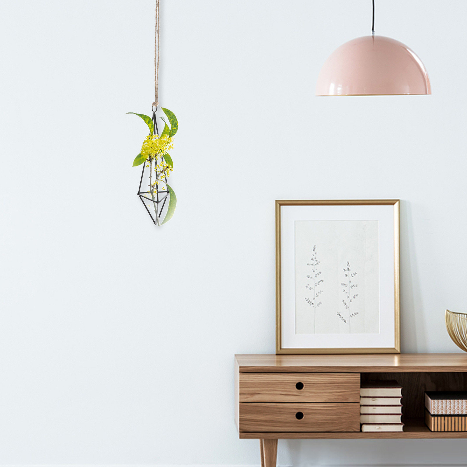 Metal Hava Bitkisi Tutucu Asıl - Spider Plant Hanging incelemesi ve fiyatı