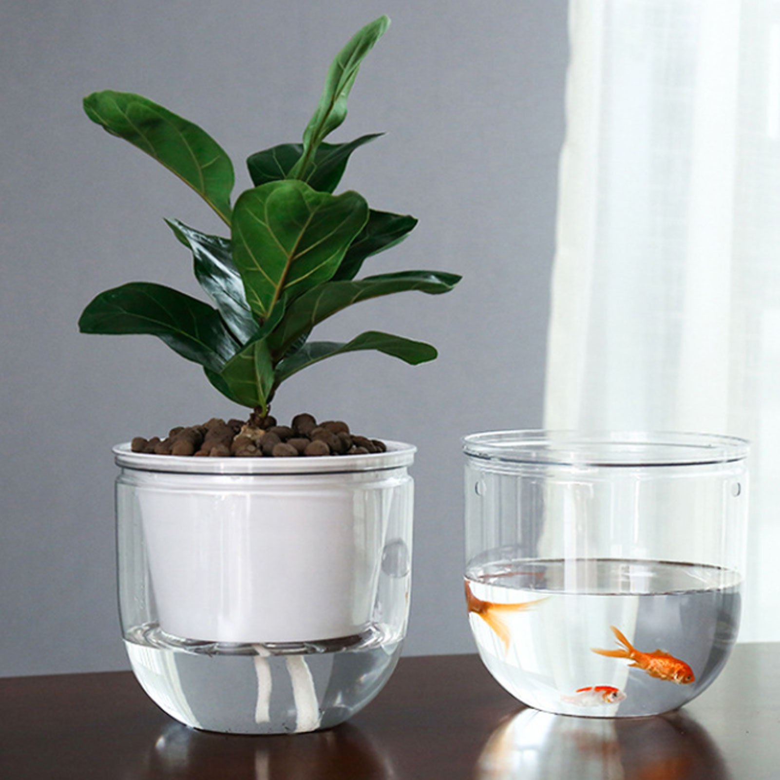Otomatik Kendiliğinden Sulanan - Spider Plant Hanging incelemesi ve fiyatı