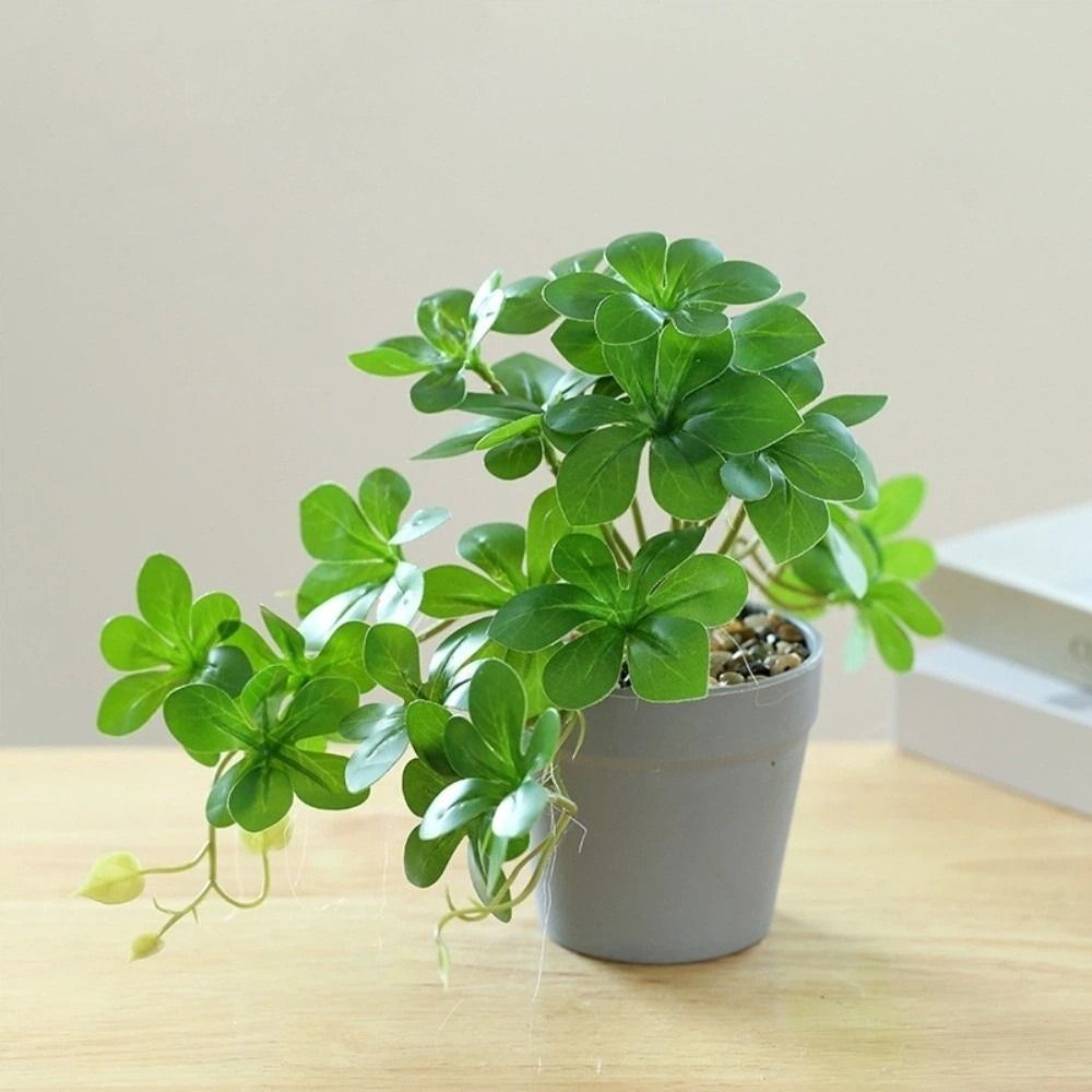 Bonsai Yapay Bonsai Bitkisi Ya - Spider Plant Hanging incelemesi ve fiyatı