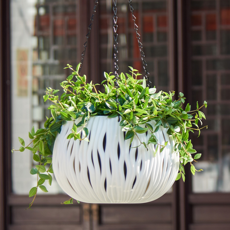 Asılı saksı, kişiselleştirilmi - Spider Plant Hanging incelemesi ve fiyatı