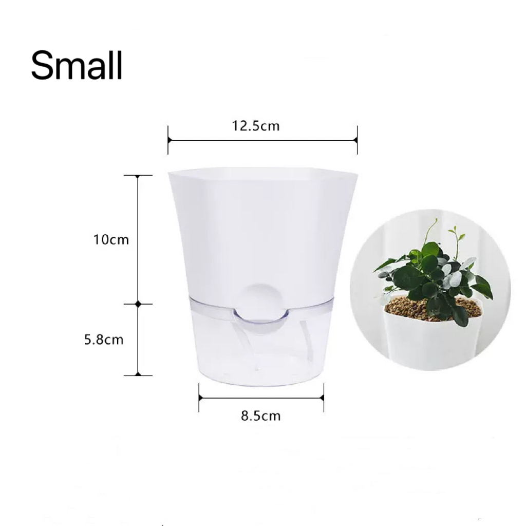 Şeffaf Plastik Kendinden Sulam - Aloe Vera Pot incelemesi ve fiyatı