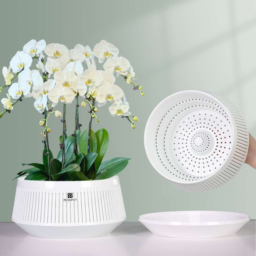 Delikli Meshpot Orkide Saksısı - Aloe Vera Pot incelemesi ve fiyatı