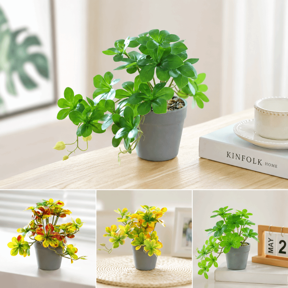 Bonsai Yapay Bonsai Bitkisi Sa - Spider Plant Hanging incelemesi ve fiyatı