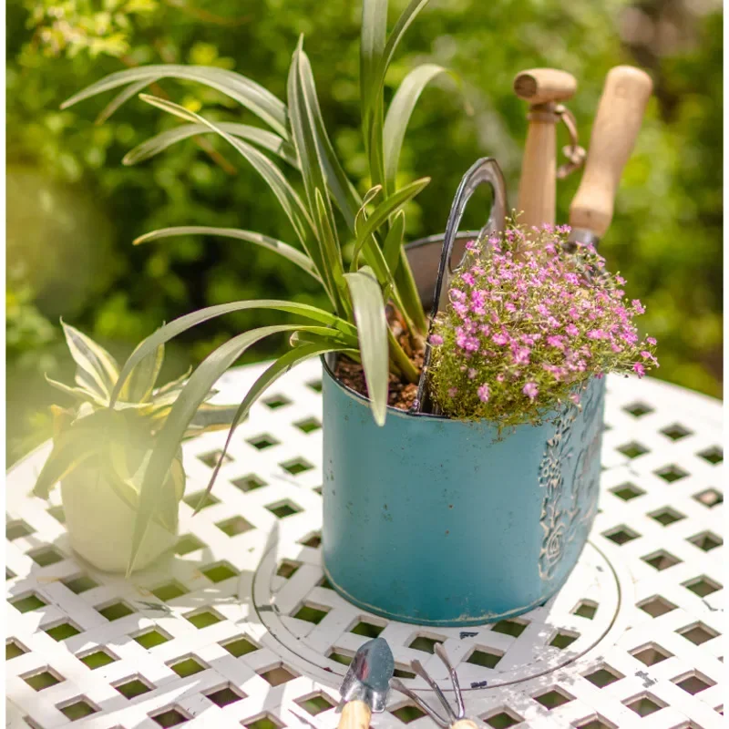 Mavi Asılı Duvar Ekici Yaşlı D - Spider Plant Hanging incelemesi ve fiyatı