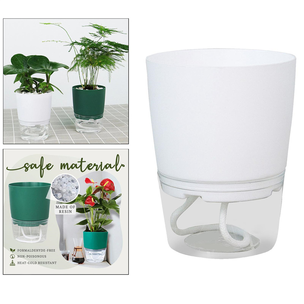 Tembel hidroponik saksı otomat - Aloe Vera Pot incelemesi ve fiyatı